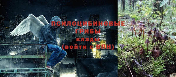 a pvp Инсар