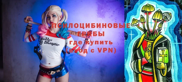 a pvp Инсар