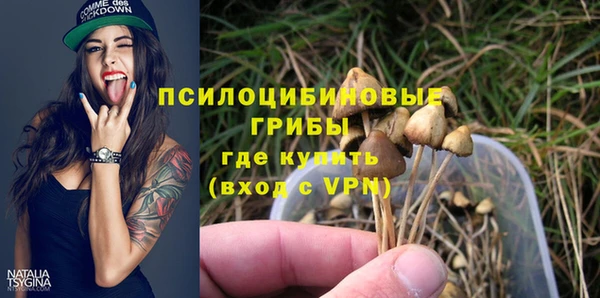 мдма Инта