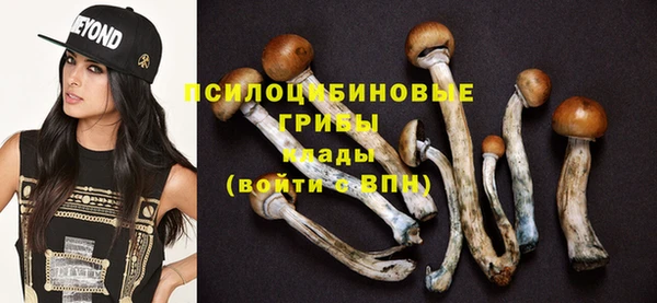 стафф Зеленокумск